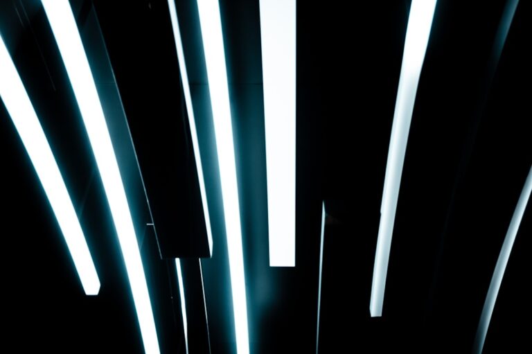 The Role of Cybersecurity in Today’s Digital World